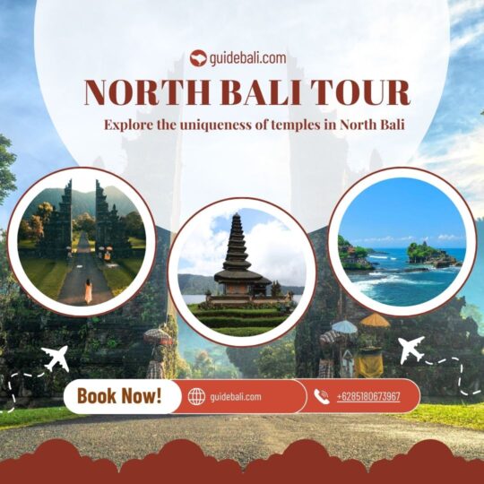 North Bali Temple Tour