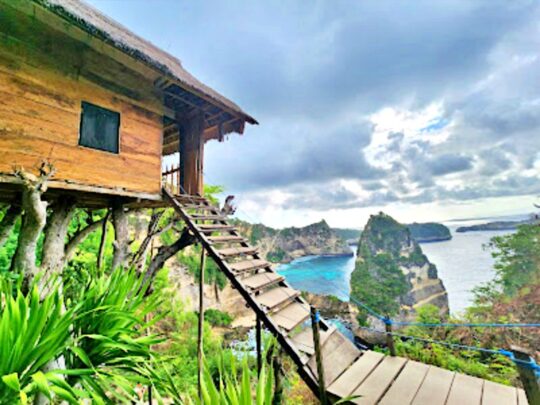 Nusa Penida Tree House